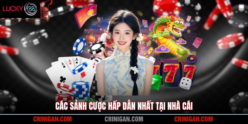 Các sảnh cược hấp dẫn nhất tại nhà cái
