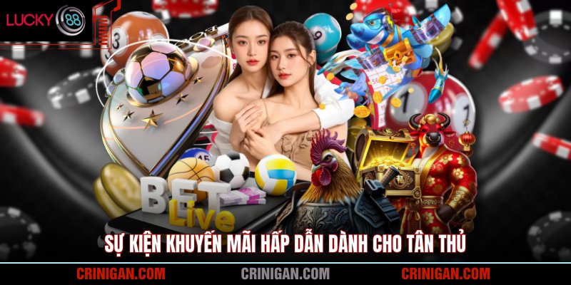 Sự kiện khuyến mãi hấp dẫn dành cho tân thủ